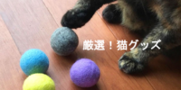 厳選！猫グッズ