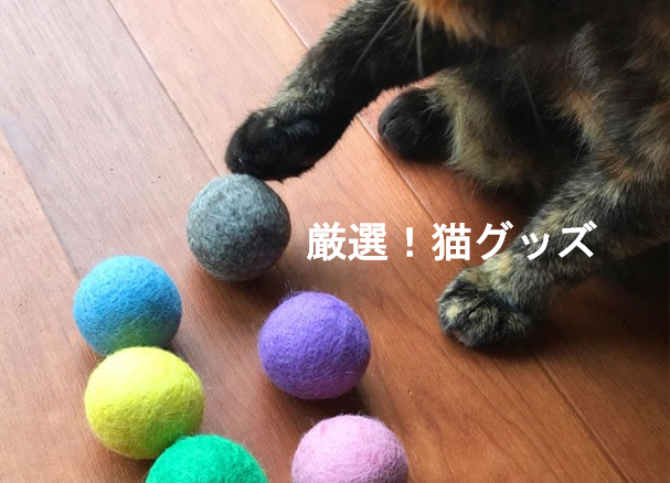 厳選！猫グッズ